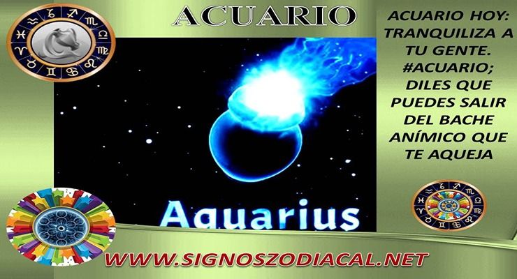 ACUARIO HOY 1