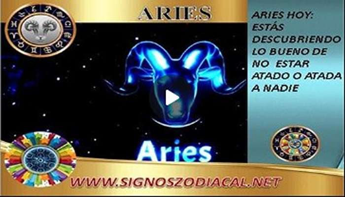 ARIES HOY 4
